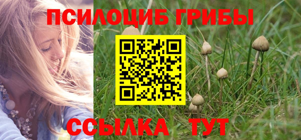 Заинск  Псилоцибиновые грибы Cubensis  даркнет сайт  Вход с VPN 